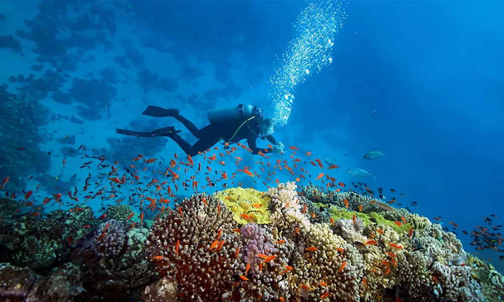 cosas_que_hacer_en_puerto_morelos